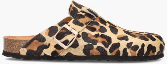Cypres Tuby 2415415 Potro Leopardo Muilen