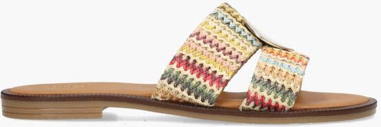 Cypres Tula Multicolor