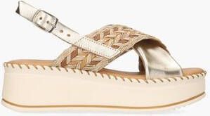 Cypres Werna Goud - Foto 3