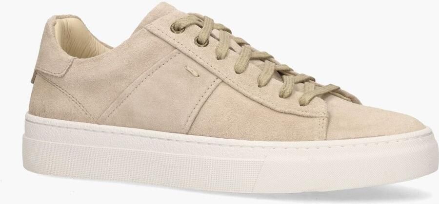 Daniel kenneth Agucino Ted Taupe