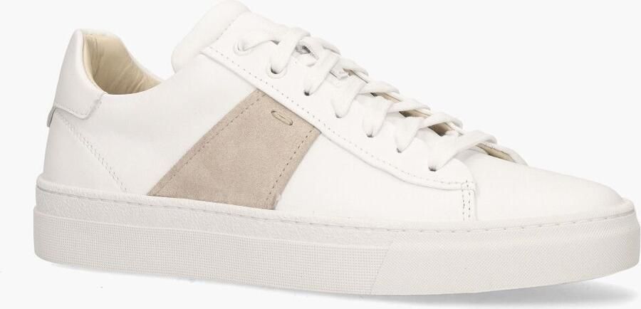 Daniel kenneth Agucino Teun Wit Taupe - Foto 2