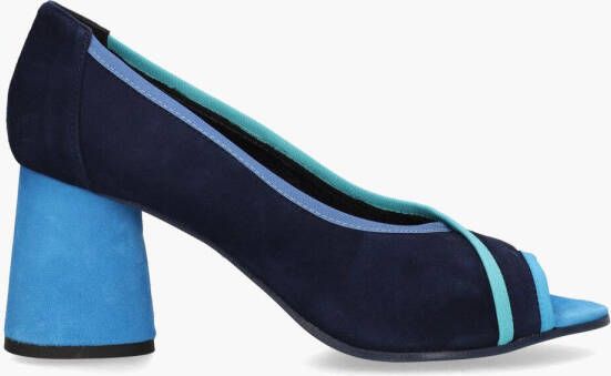 Daniele Ancarani Daria Blauw