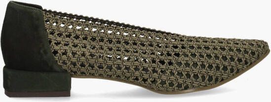 Daniele Ancarani Giorete Groen