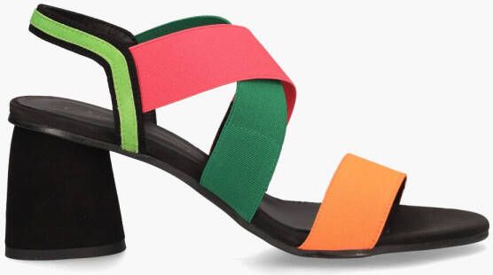Daniele Ancarani Sonata Multicolor