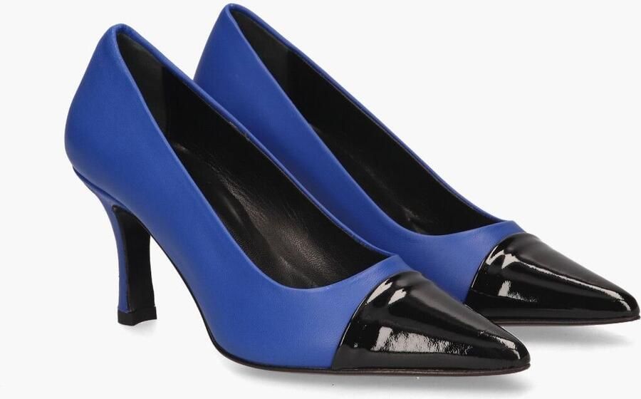 Di lauro Cypres 06700 Blauw Zwart