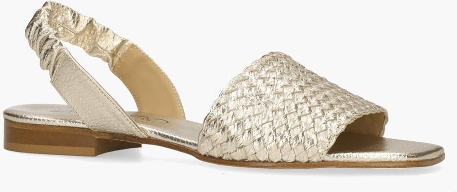 Di lauro Pascucci 107 Goud