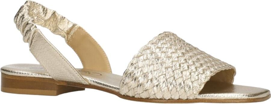 Di lauro Pascucci 107 Goud - Foto 2