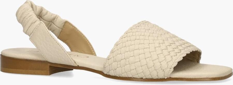 Di lauro Pascucci 107 Off-White - Foto 2