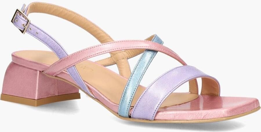 Di lauro Platone 3000 Lichtroze Multicolor