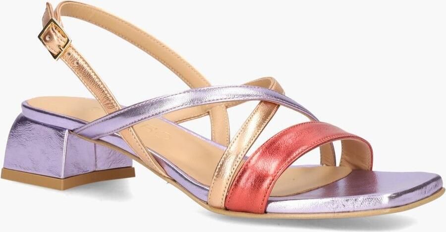 Di lauro Platone 3000 Lila Multicolor - Foto 2