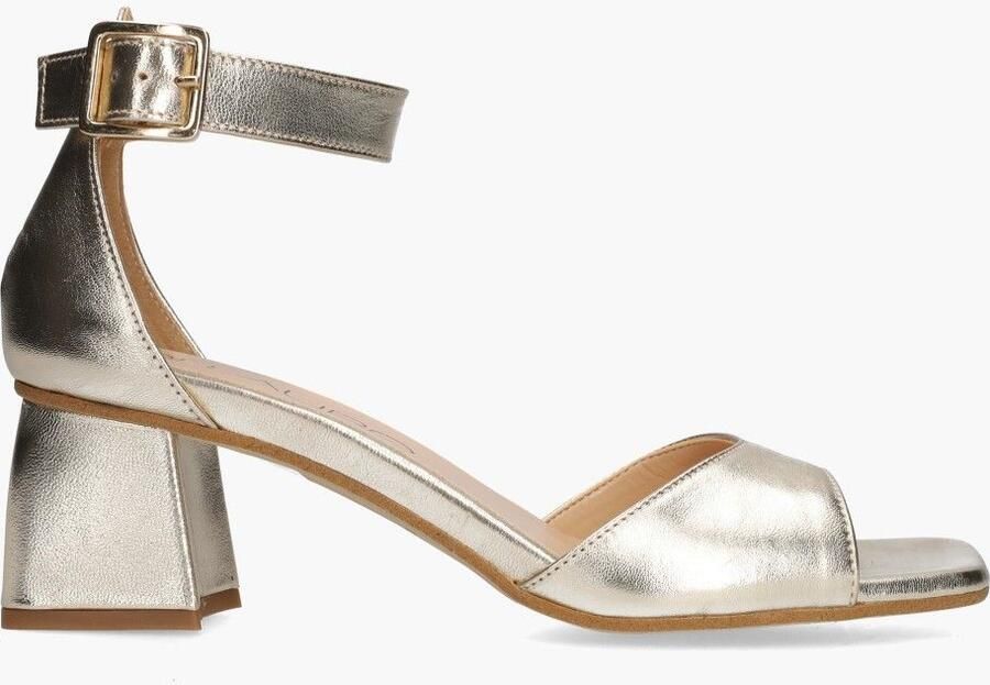 Di lauro Altramarea Dacia Goud