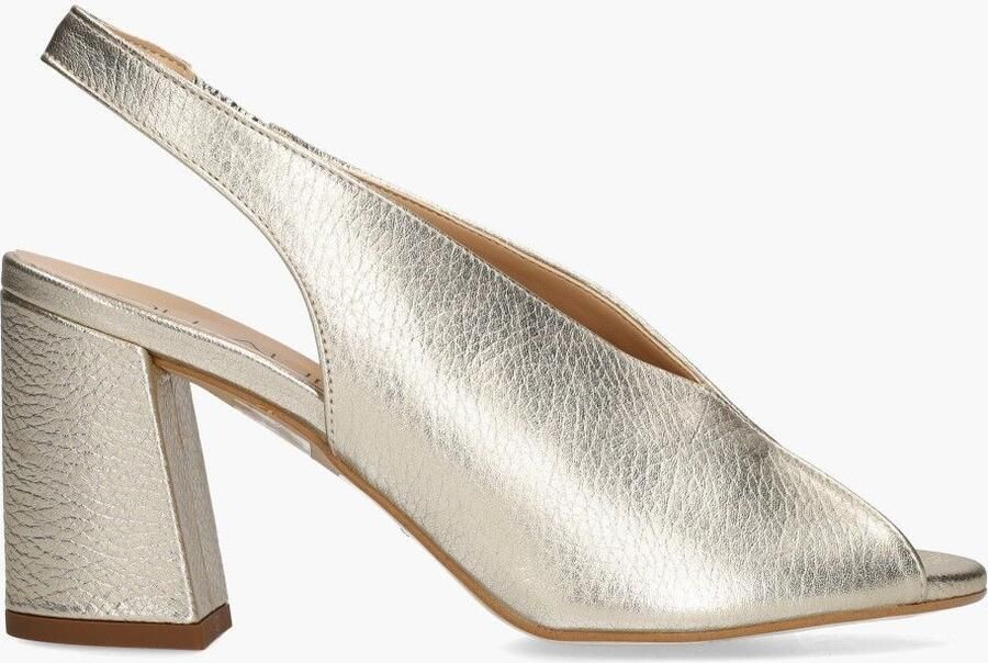 Di lauro Altramarea Rosette Goud