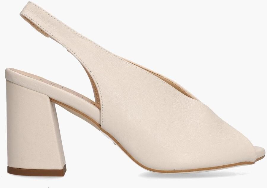 Di lauro Altramarea Rosette Roomwit