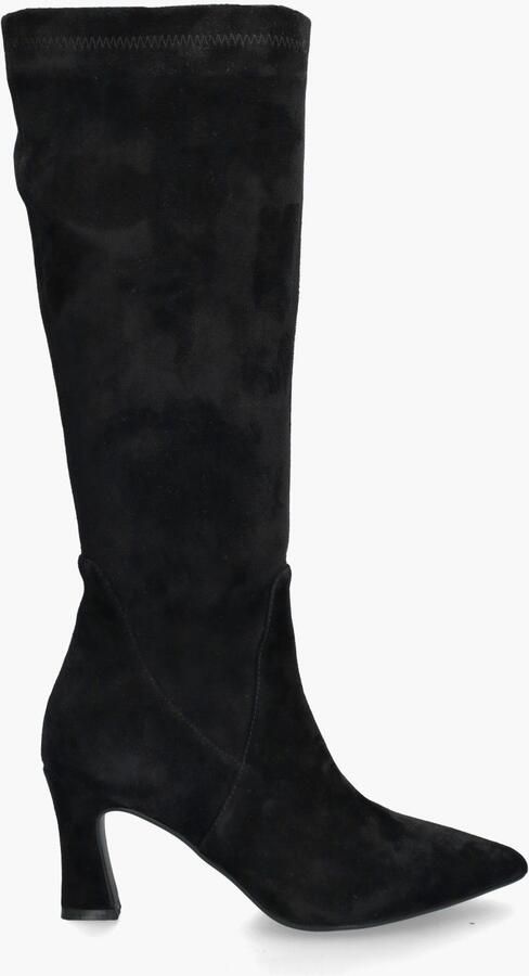 Di lauro Benvenuta Zwart