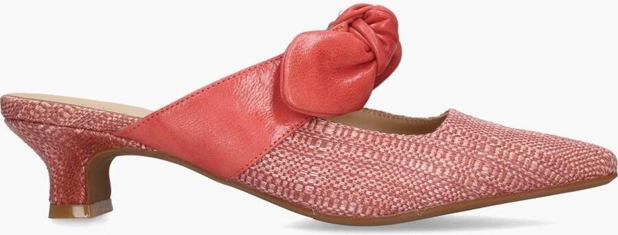 Di lauro Danica Koraalrood