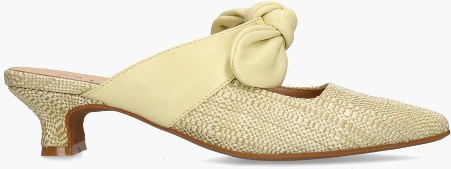 Di lauro Danica Lichtgeel