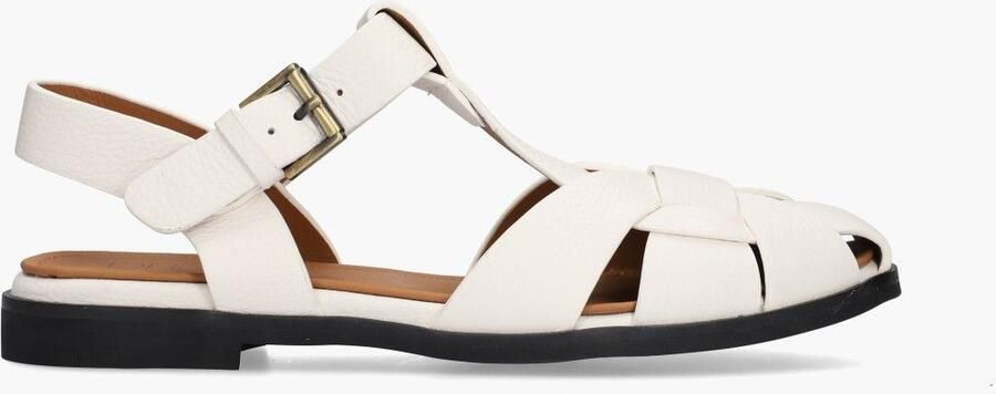 Di lauro Daniela Wit