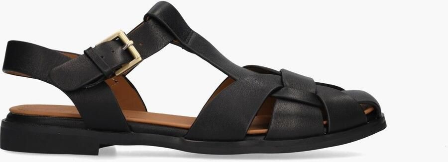 Di lauro Daniela Zwart