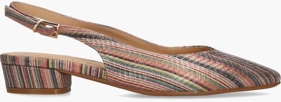 Di lauro Danila Multi