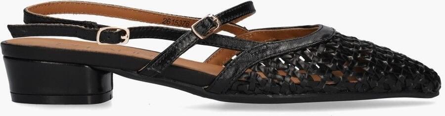 Di lauro Dante Zwart