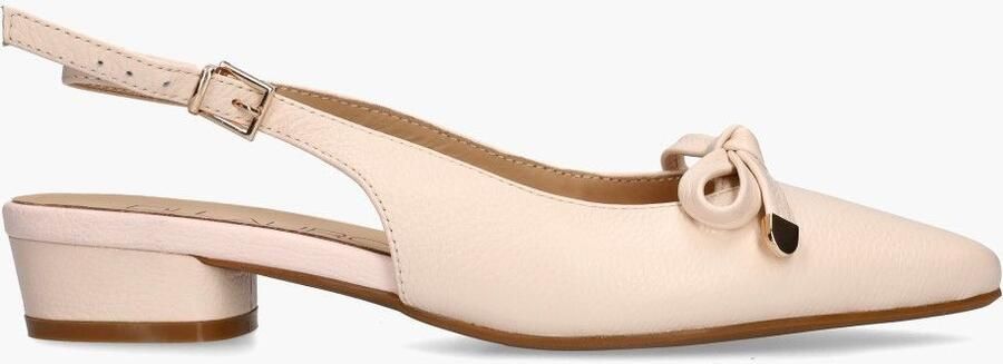 Di lauro Daphne Lichtroze