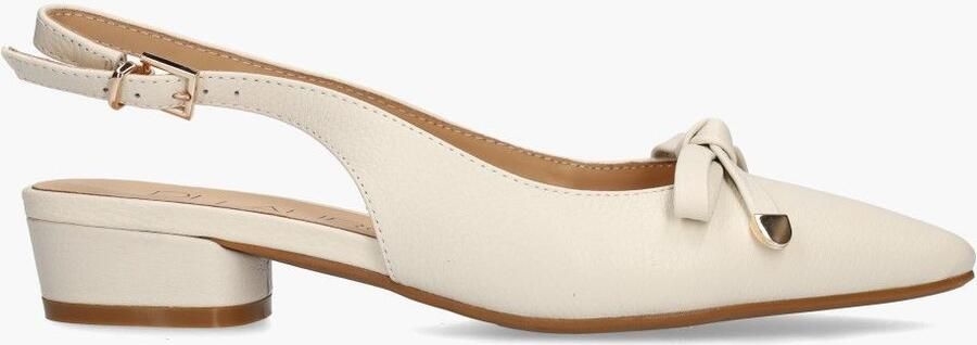 Di lauro Daphne Off-White