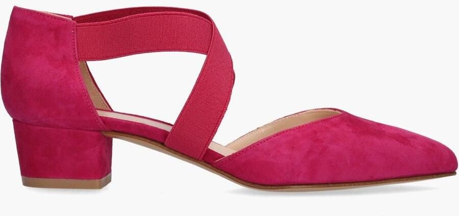 Di lauro Fimar Dalia Roze