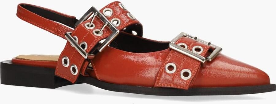 Di lauro Cypres Marta Rood