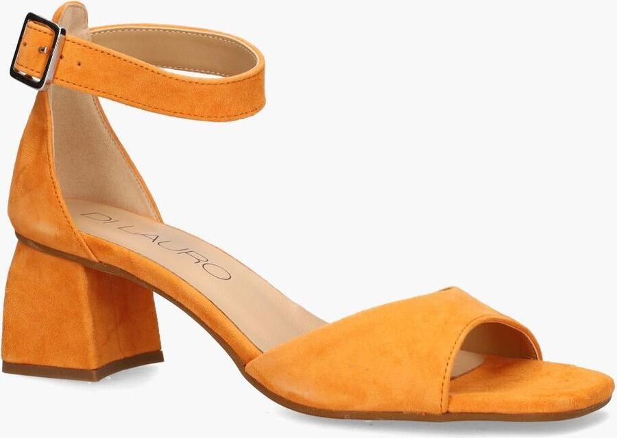 Di lauro Altramarea Odie Oranje