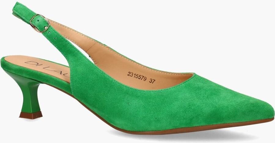 Di lauro Rebecca Groen