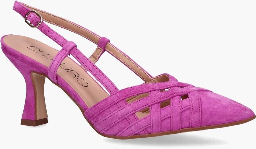 Di lauro Altramarea Romaisa Roze - Foto 2