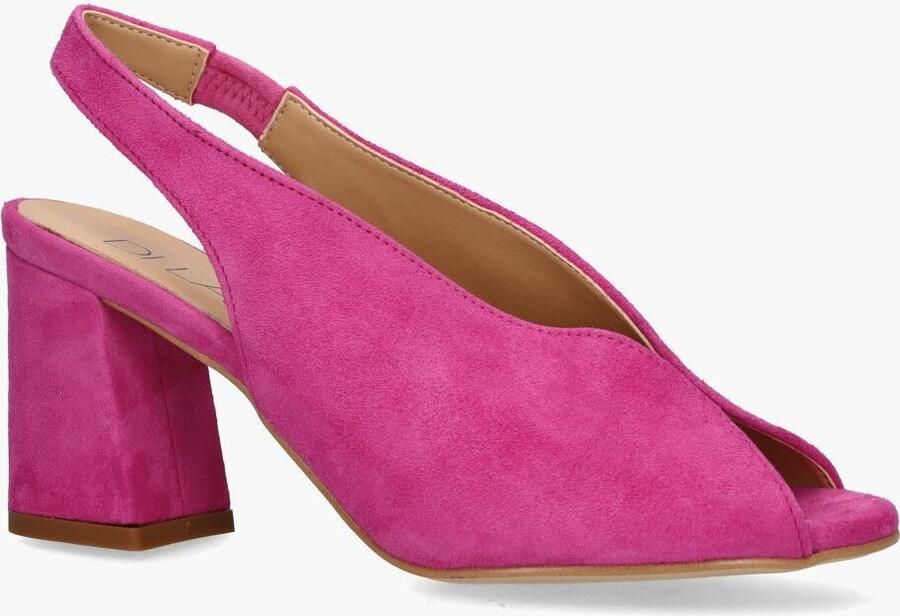 Di lauro Altramarea Rosette Roze - Foto 2