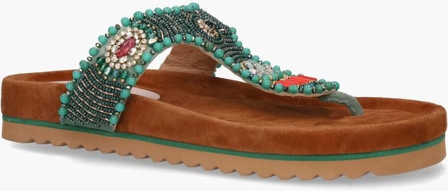 Di lauro Jas Exports Rowena Groen Multicolor