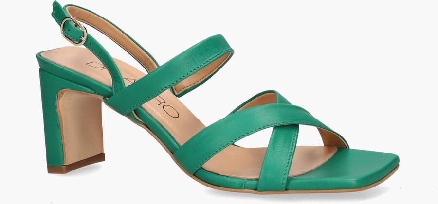 Di lauro Altramarea Rozalia Groen - Foto 2