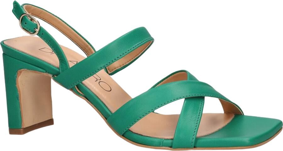 Di lauro Altramarea Rozalia Groen - Foto 2