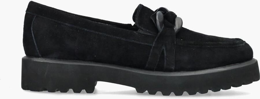 Di lauro Si Celestina Zwart