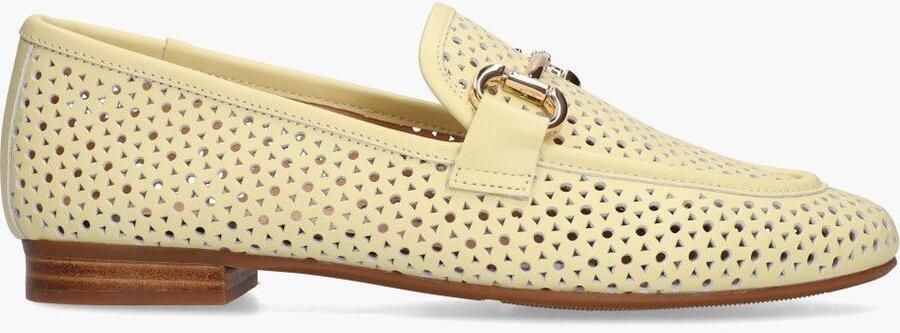 Di lauro Si Didima Lichtgeel