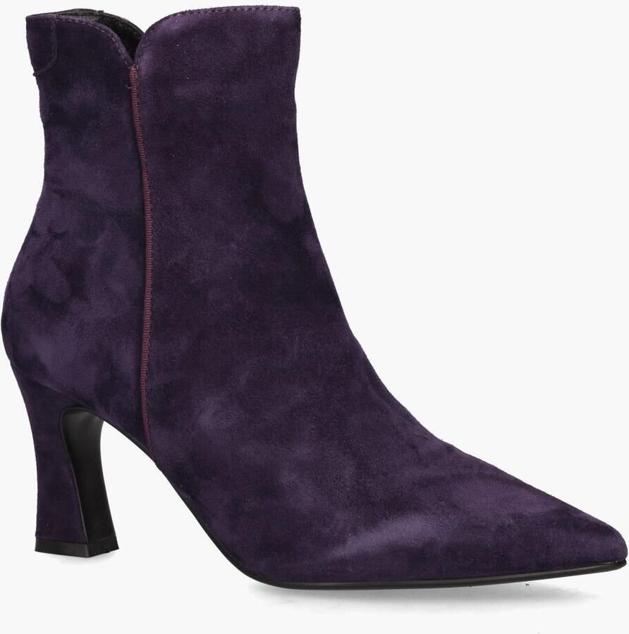 Di lauro Sterre Paars