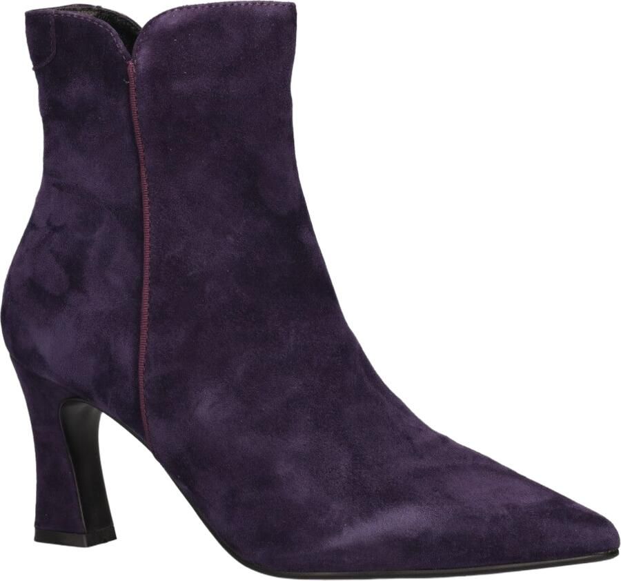 Di lauro Sterre Paars