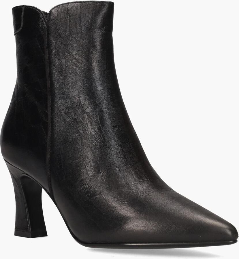 Di lauro Sterre Zwart - Foto 2