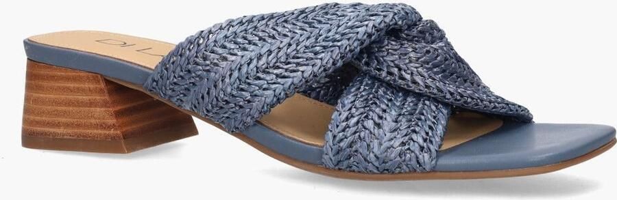 Di lauro Terese Blauw