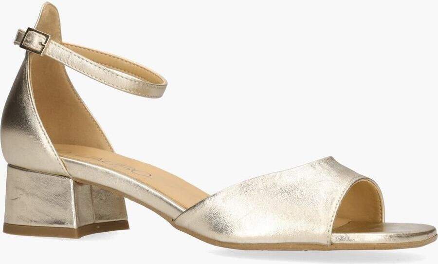 Di lauro Altramarea Tillie Goud