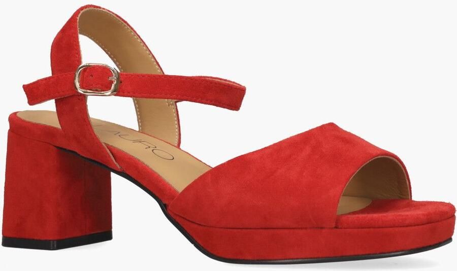 Di lauro Vivian Ray Tylina Rood - Foto 2