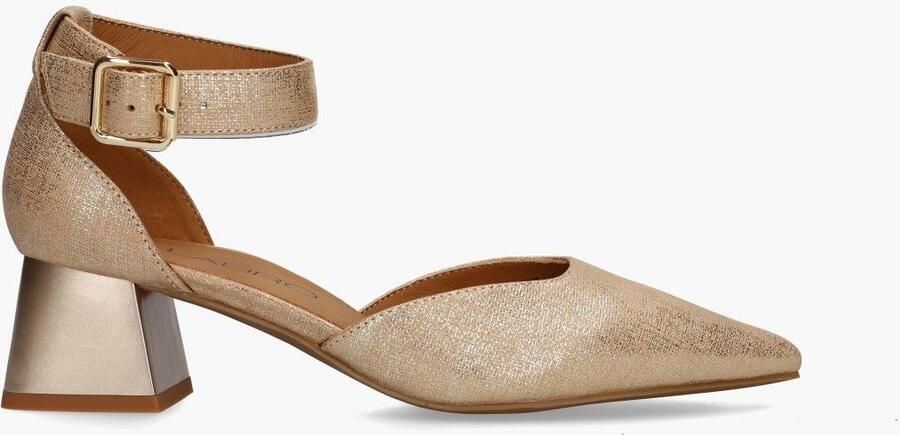 Di lauro Vivian Ray Delia Goud