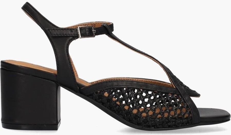 Di lauro Vivian Ray Demetria Zwart