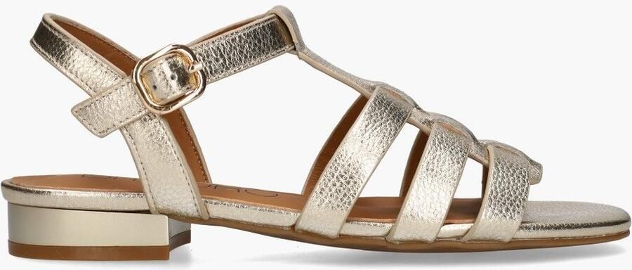 Di lauro Vivian Ray Desiree Goud