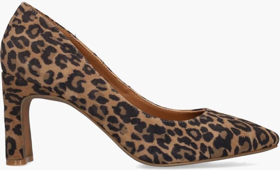 Di lauro Vivian Ray Desma Bruin Zwart