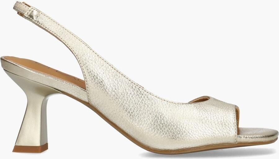 Di lauro Vivian Ray Wiberta Goud