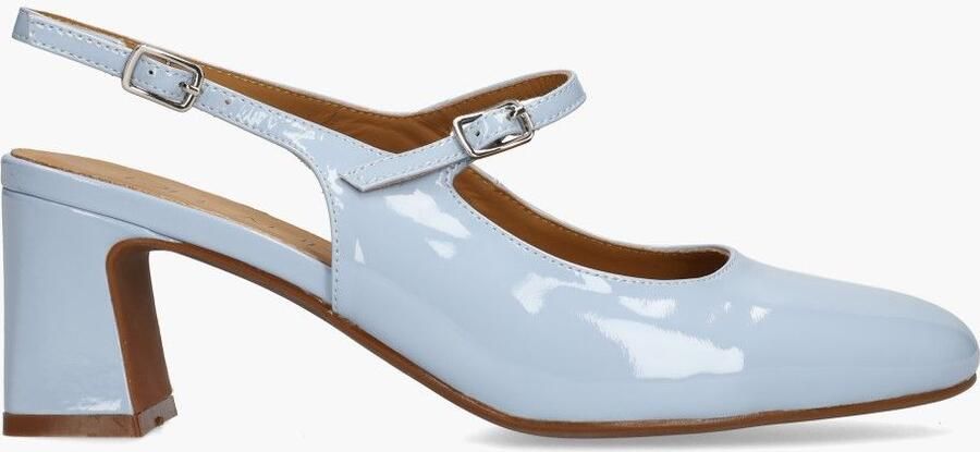 Di lauro Wandy Lichtblauw