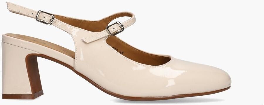 Di lauro Wandy Roomwit